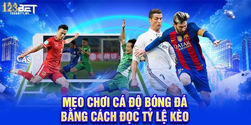 Mẹo chơi cá độ bóng đá bằng cách đọc tỷ lệ kèo