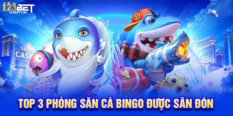 Top 3 phòng săn cá Bingo được săn đón